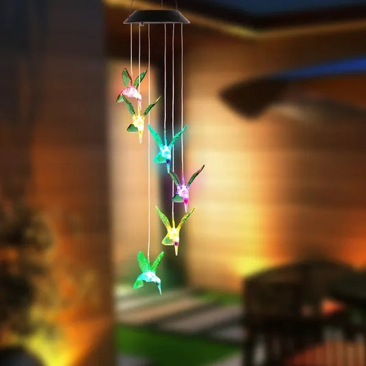 Hummingbird Lights